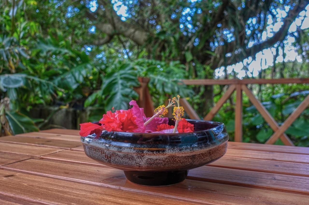 435 Hotel Ishigaki  Ngoại thất bức ảnh
